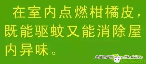 教你几招，蚊子一个夏天都不敢进你房间！