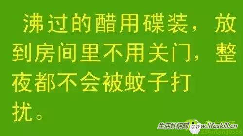 教你几招，蚊子一个夏天都不敢进你房间！