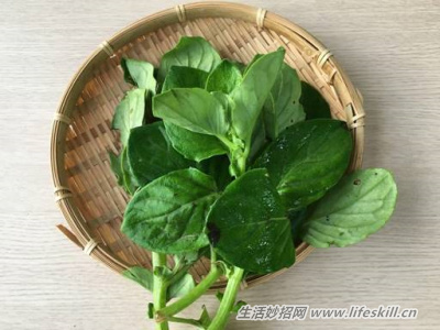 野菜纯天然有营养，你知道怎么吃吗？