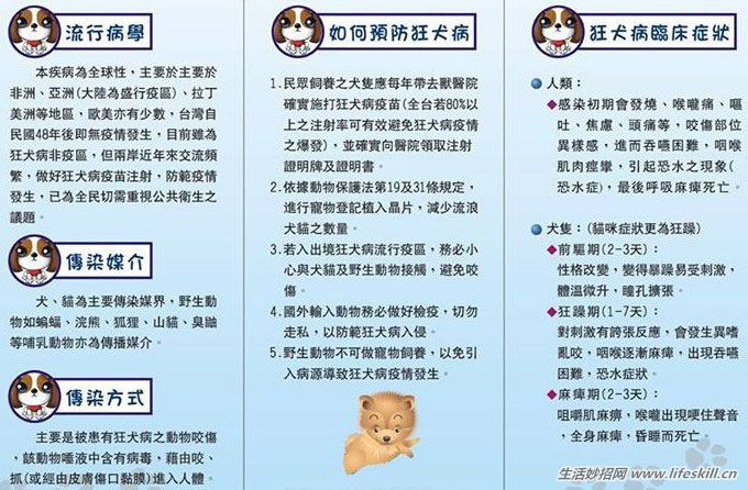 认识狂犬病，多一份认知就少点恐慌。