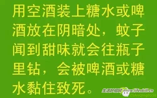 教你几招，蚊子一个夏天都不敢进你房间！