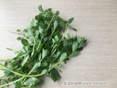 野菜纯天然有营养，你知道怎么吃吗？