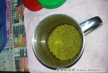 巧用可乐瓶子生豆芽