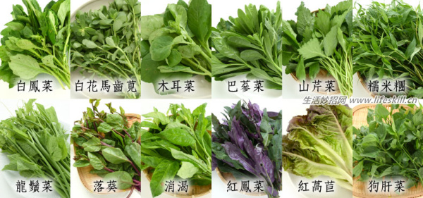 野菜纯天然有营养，你知道怎么吃吗？