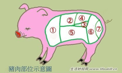 猪肉各部位名称图解