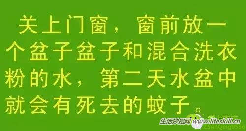 教你几招，蚊子一个夏天都不敢进你房间！