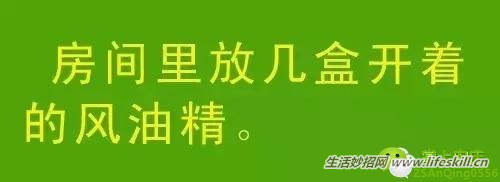 教你几招，蚊子一个夏天都不敢进你房间！