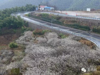 江浙沪最美的几条盘山公路