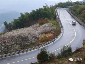 江浙沪最美的几条盘山公路