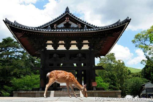 2012日本赏樱完全攻略