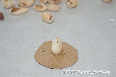 巧用开心果壳制作漂亮的装饰品