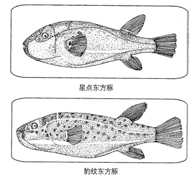 急性中毒（食物中毒）