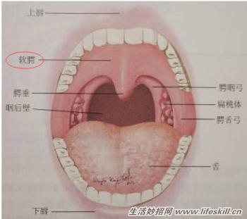 对付“打嗝”的几个妙招