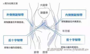 膝盖损伤修复知识小集锦