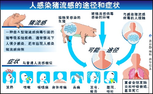 美国卫生部公布的预防猪流感小贴士