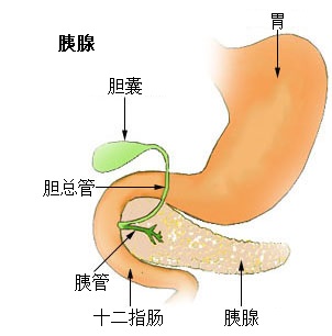 糖尿病是怎么回事？小心，你也有可能会患上！