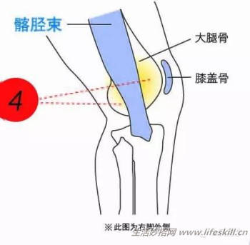 膝盖损伤修复知识小集锦