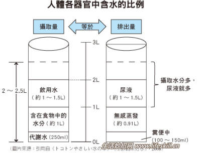 人一天究竟要喝多少水才够？