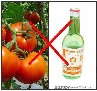 食物禁忌：自杀式的食物搭配