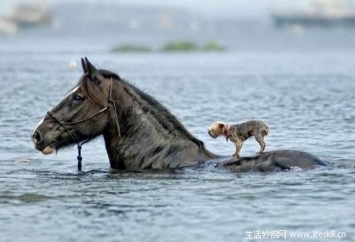 别把自己看的太重