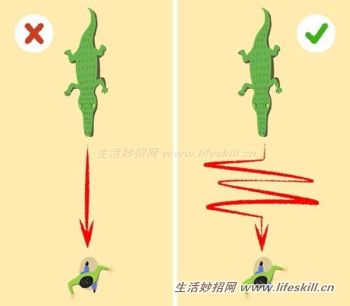 9个避难求生小知识