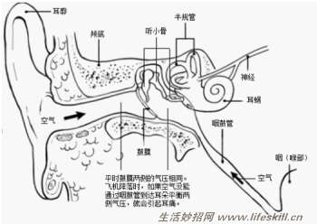 怎样缓解乘坐飞机时耳朵痛？