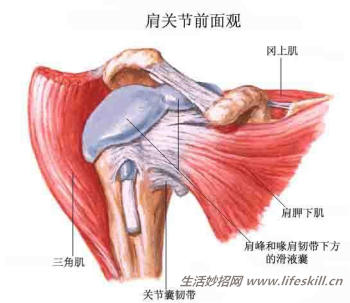 年龄大了得了肩周炎，如何应对？