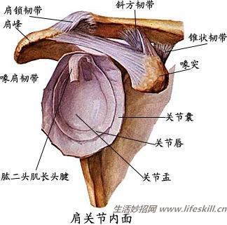 年龄大了得了肩周炎，如何应对？