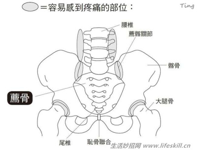 被腰痛所苦？一个简单的动作，每天３分钟就能治好！